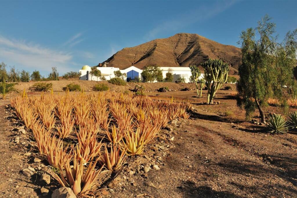 Tranquila Tierra - Eco Retreat Finca Artis Tirma Tarajalejo Esterno foto